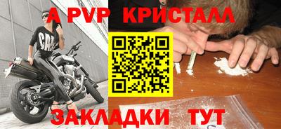 шишки Владимир