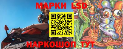 шишки Владимир