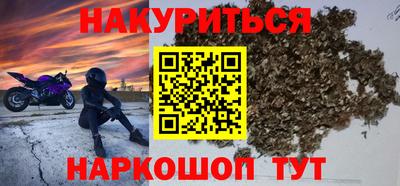 шишки Владимир