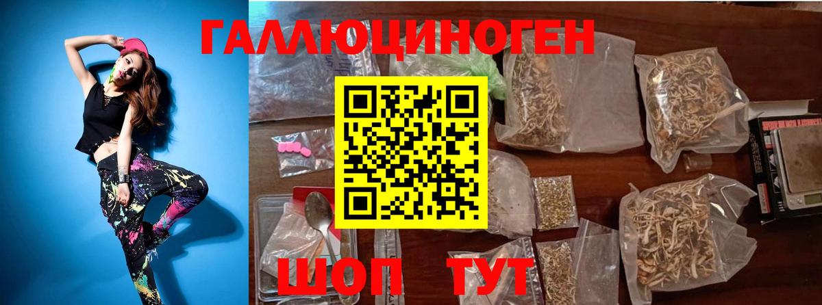 Вятские Поляны  Галлюциногенные грибы MAGIC MUSHROOMS  Вход с VPN 
