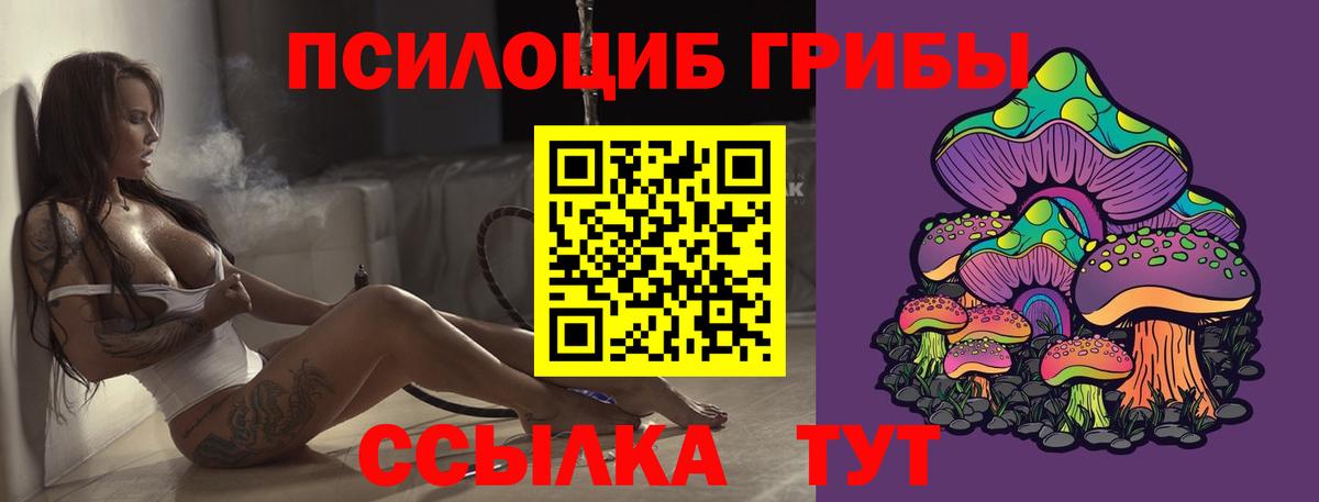 Галлюциногенные грибы мицелий Вятские Поляны